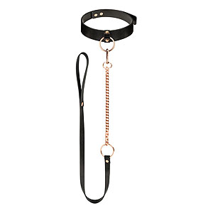 Rosy Gold Collar with Leash (Black), obojek s vodítkem